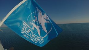flag tursiops