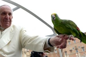 Entrer dans la prière: continuer à protéger la création