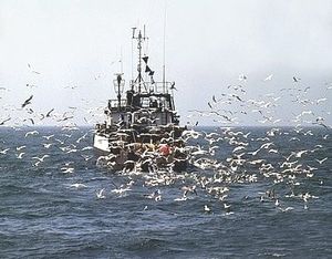 Dimanche 5 octobre 1986