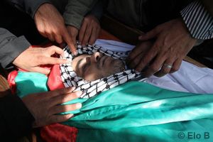 Agir pour la Palestine à tous les niveaux