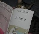 Paolo Pappatà, "Sconclusioni"