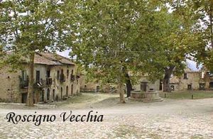 Il richiamo dell'usignolo