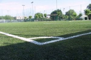 Aggrappati alle recinzioni