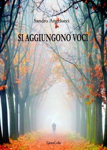 Sandro Angelucci, "Si aggiungono Voci"