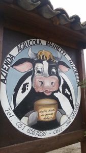 “Vieni c'è una strada nel bosco...”
