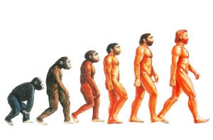 Omaggio a Darwin