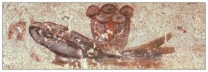 Yeshua' bar Yosef