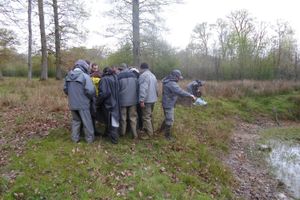 Journée de travail sur le suivi des amphibiens avec l'ONEMA