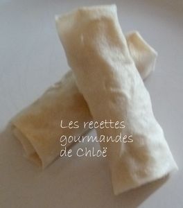 Nems aux légumes