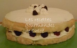 Gâteau de savoie aux framboises et chocolat blanc