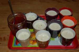 Pannas cottas au lait d'amande et à la vanille