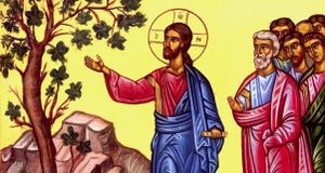 Méditation du conseil presbytéral: les figuiers