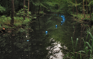 Quand la nature reprend ses droits