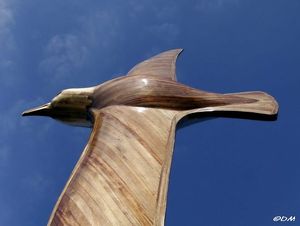 L'albatros