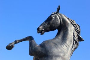 Cheval des Lumières d'Arnaud Kasper