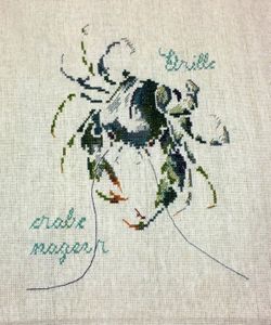 Crabe nageur, étrille d'après Marie-Thérèse de Saint Aubin