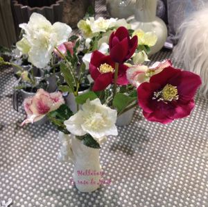 Fleurs d'hiver de Sylvie Teytaud et Monique Bonnin