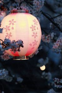 Parure Hanami, du prunier au cerisier