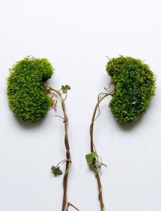 Bonne année au pays des Knackis Balls !