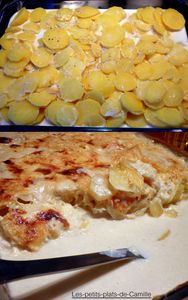 Gratin dauphinois