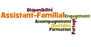 CONDITIONS DE TRAVAIL DES ASSISTANTS FAMILIAUX