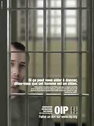 OIP - "ILS SONT NOUS" - Appel à Témoignages