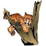 "El Leopardo en su Árbol"