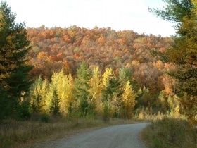 Sur le chemin de la vie... un dicton