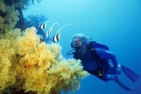 Exister, savoir, s'émerveiller : citation de Jaques-Yves Cousteau