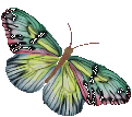 L'effet papillon, de Benjamin Franklin à Bénabar