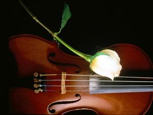 Musique, citation de Pablo Casals