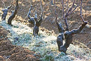 L'art de boire à travers les âges