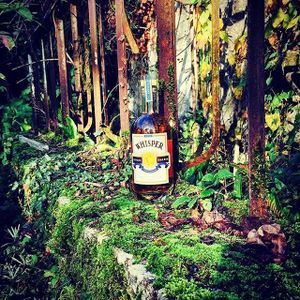 WHISPER RUM
