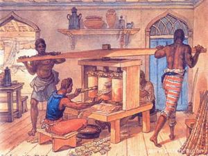 Histoire de la Cachaça (Click to the Website)