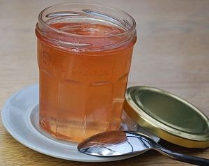 Gelée de pommes (Thermomix)