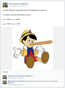 Consternant, injurieux et raciste …