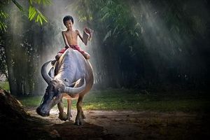 LÀNG QUÊ , BUỔI TRƯA HÈ