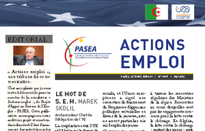 "Actions emploi" : la lettre d’information du PASEA