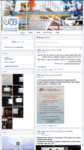 L’ANEM et sa page Facebook