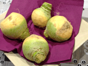 LE RUTABAGA