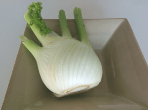 LE FENOUIL
