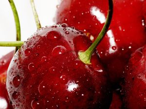 Elle est arrivée… La Cerise, juteuse et bien sucrée !
