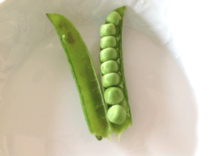 Les petits pois