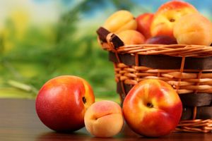 Nos brochettes gourmandes de fruits jaunes