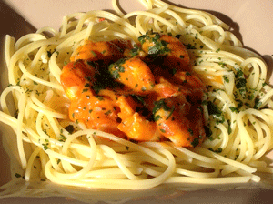 PATES SANS GLUTEN BARILLA