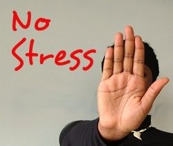 Que mettre dans son assiette pour éviter le stress en période d’examens ?