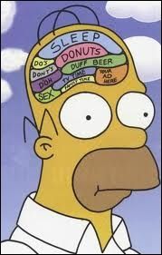 Pour bien nourrir son cerveau en période d'examens