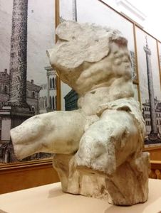 LE TORSE DU BELVEDERE DU VATICAN
