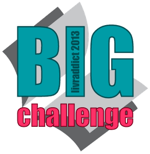 Big Challenge 2013