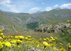 Pétition : Non au passage du Tour de France au Col de Sarenne (GR54)